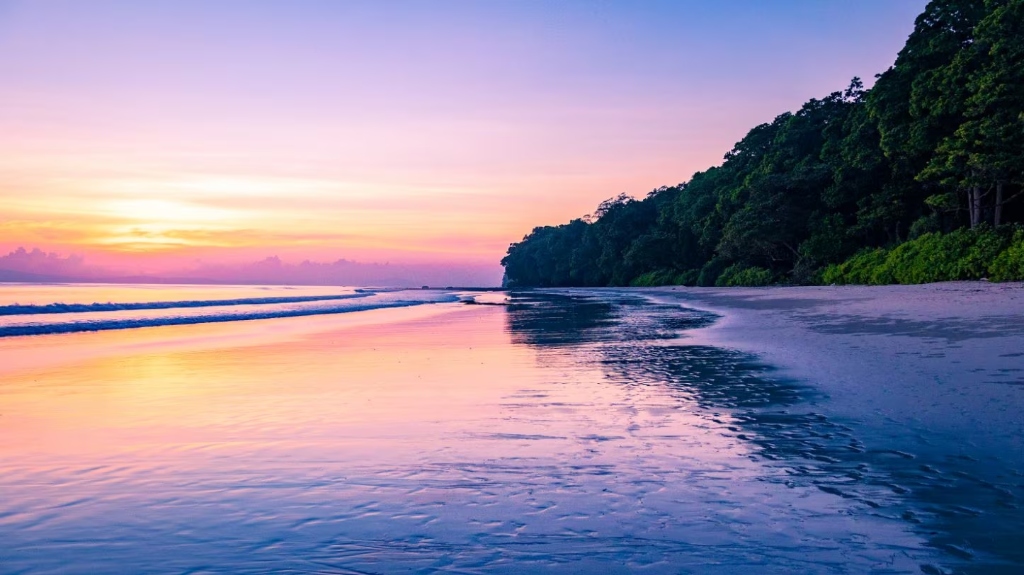Best Time to Visit Andaman: Month-by-Month Weather & Island Guide