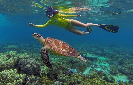 Snorkelling